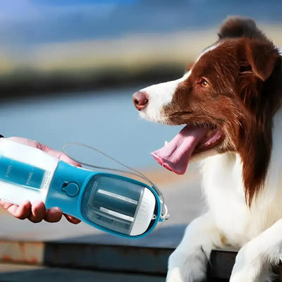 On the Go Pet Feeder and Water Bowl with Waste Bag