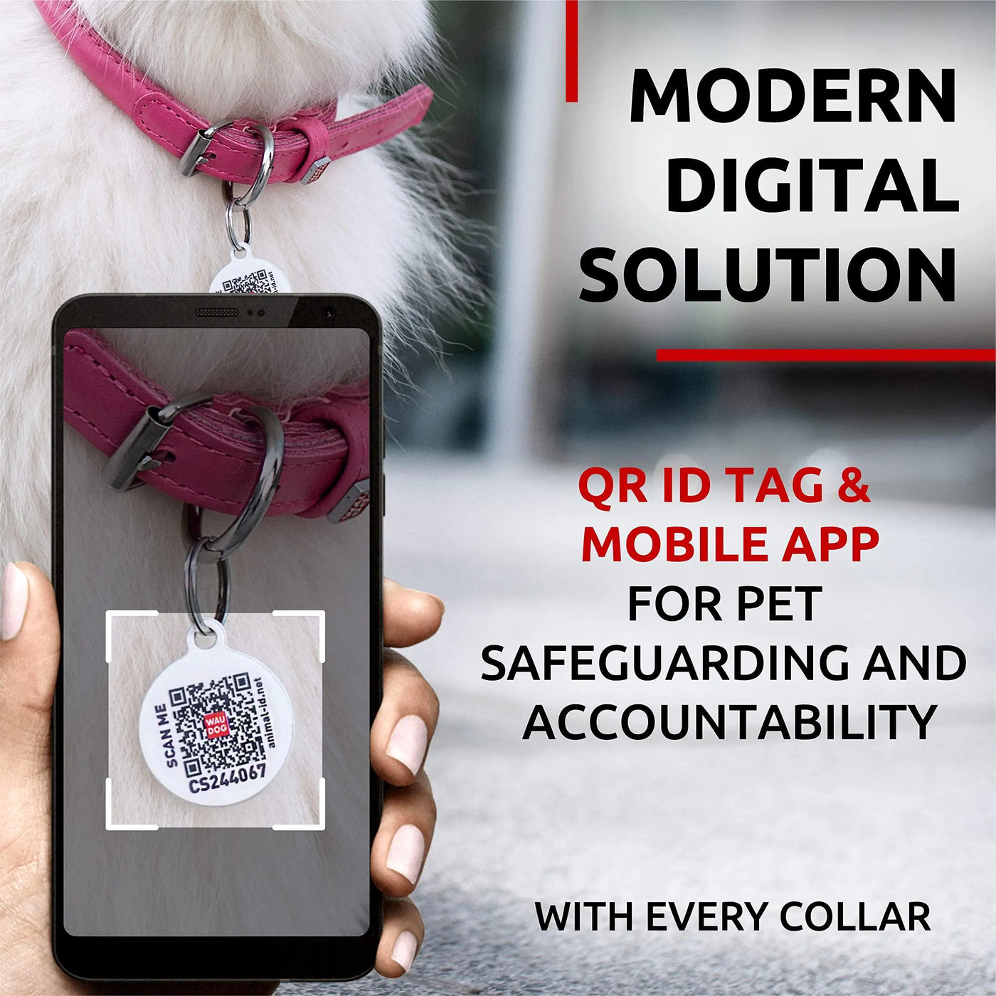 Ultra Soft Rolled Leather Dog Collar for Small Dogs 8-10 inches