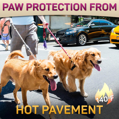 Natural Dog Paw Balm Dog Paw Protection from Hot Pavement