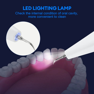 Oral Irrigator Dental Water Flosser Toothbrush Set