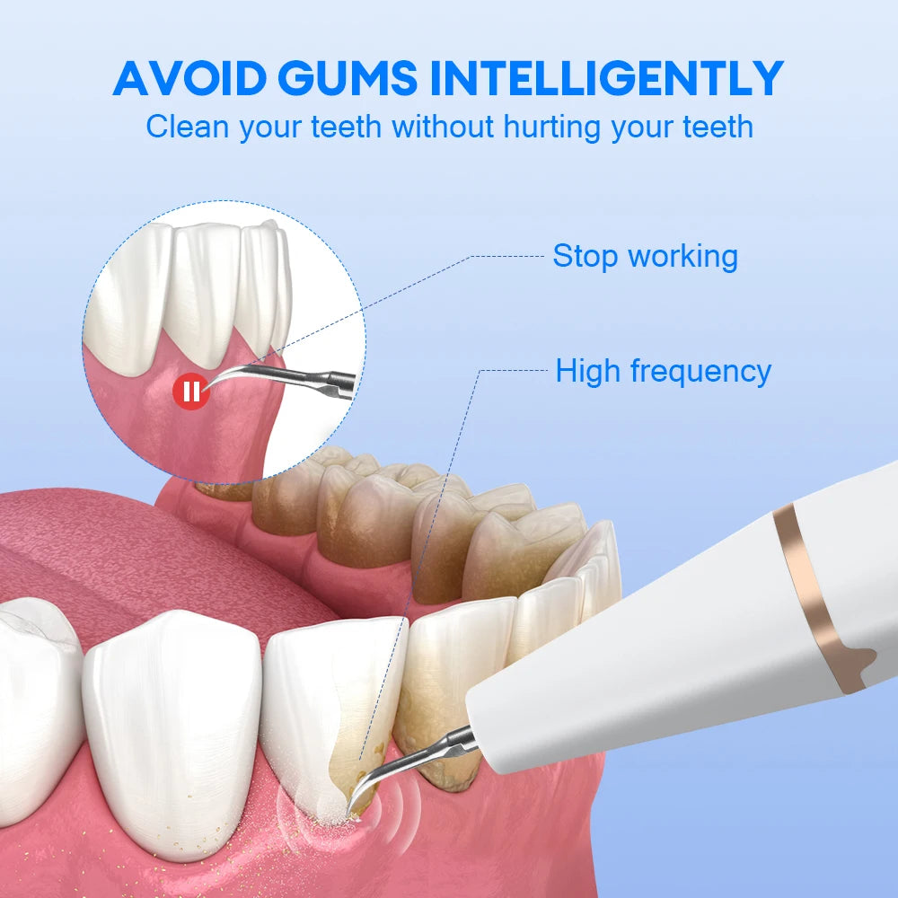 Oral Irrigator Dental Water Flosser Toothbrush Set