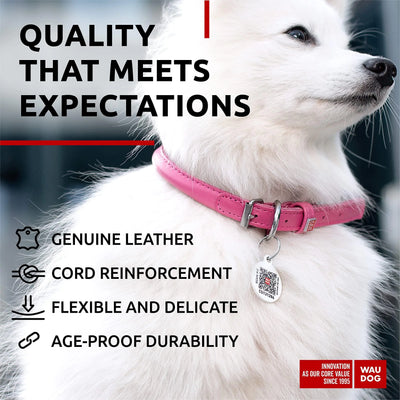 Ultra Soft Rolled Leather Dog Collar for Small Dogs 8-10 inches