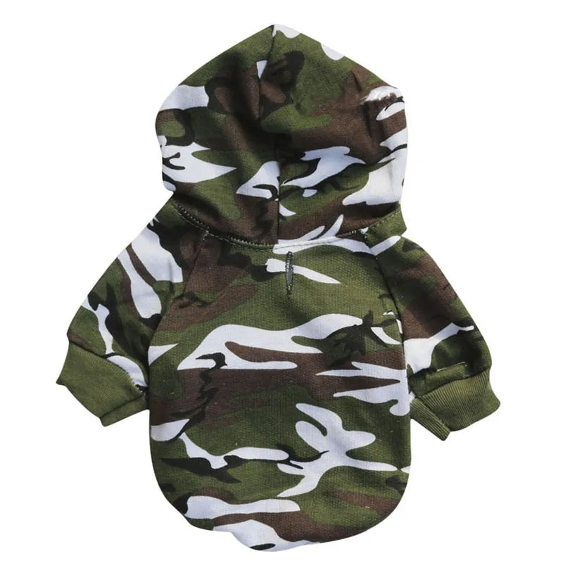 Small Dog Hoodies