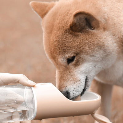 On-The-Go Pet Water Cup