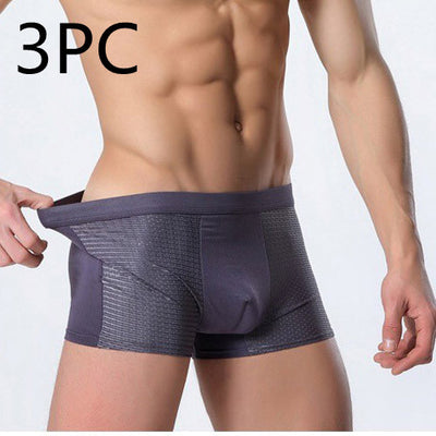 Men's Silk Mesh Underwear