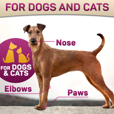 Natural Dog Paw Balm Dog Paw Protection from Hot Pavement