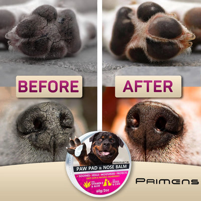 Natural Dog Paw Balm Dog Paw Protection from Hot Pavement