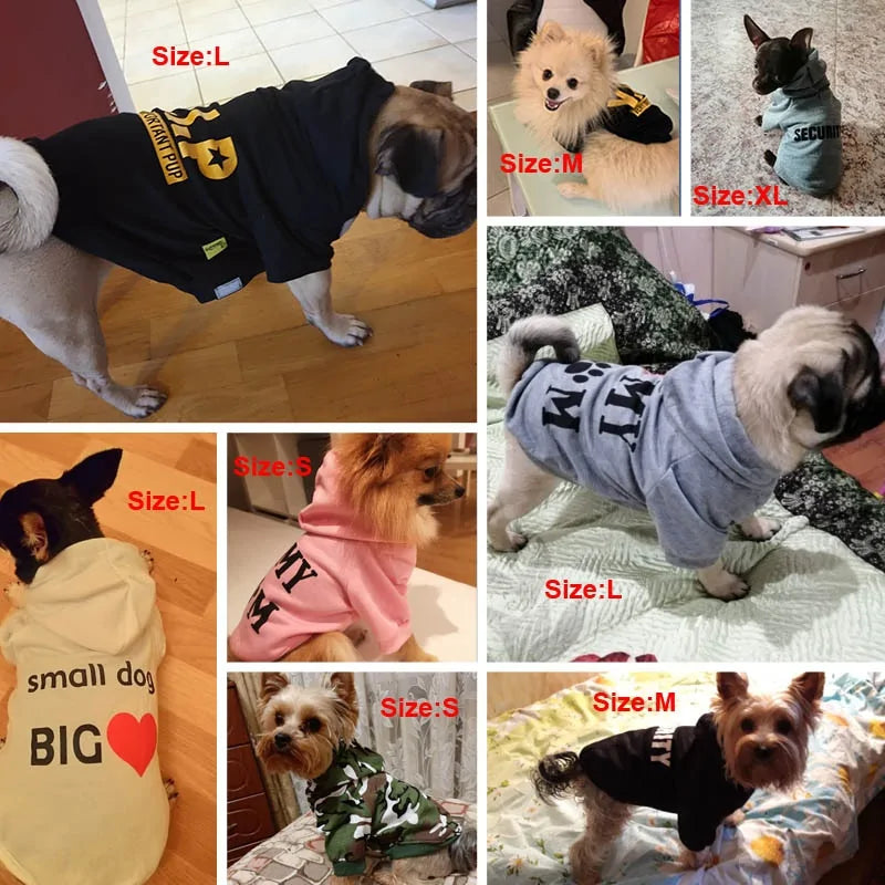 Small Dog Hoodies
